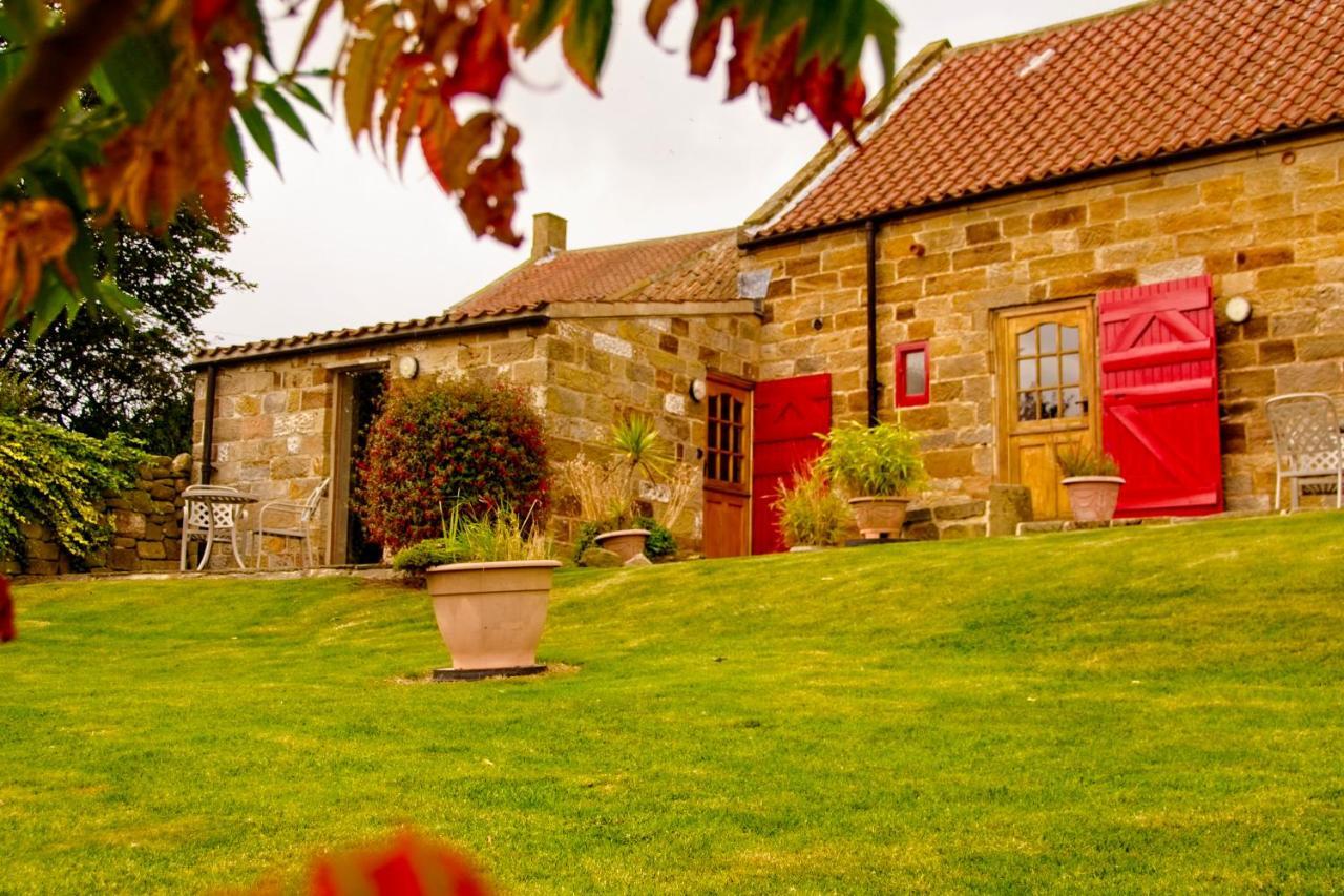 Rosecombe, Borrowby Farm Cottages Staithes Dış mekan fotoğraf