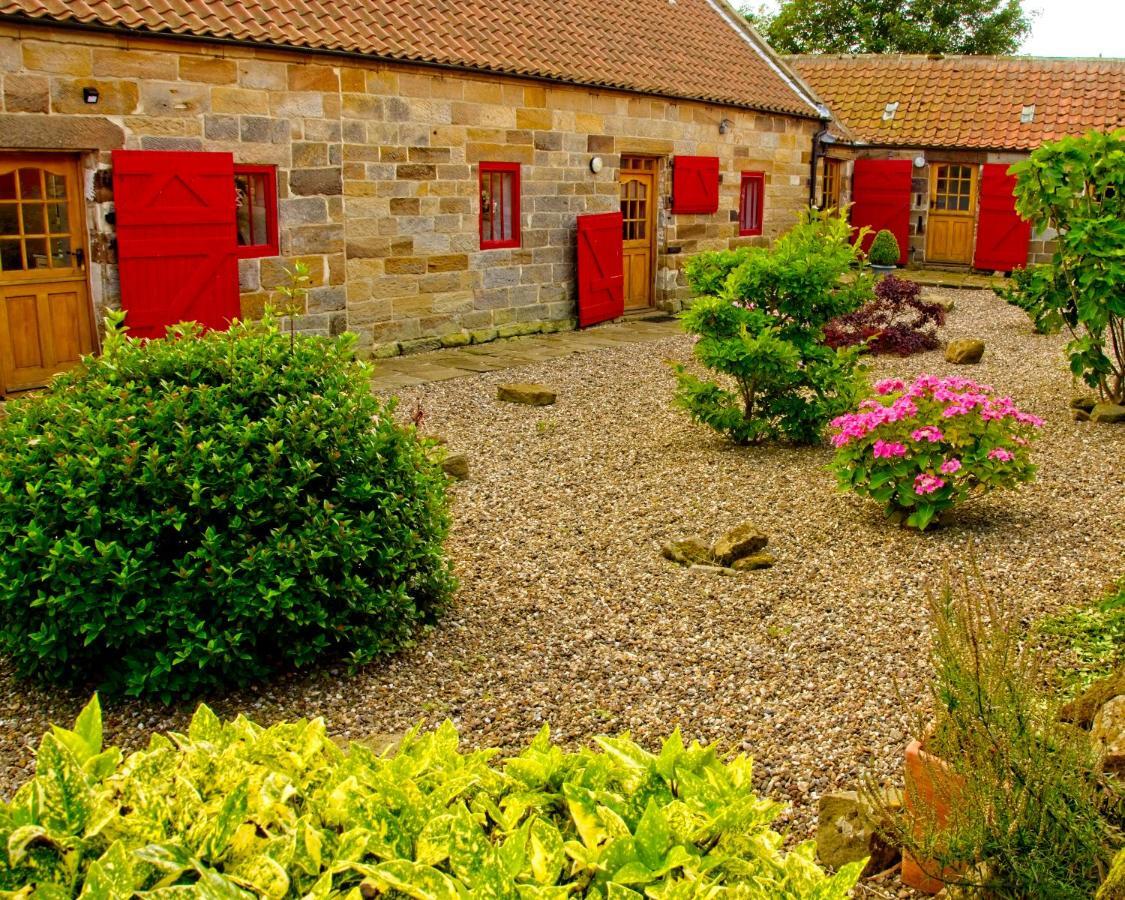 Rosecombe, Borrowby Farm Cottages Staithes Dış mekan fotoğraf