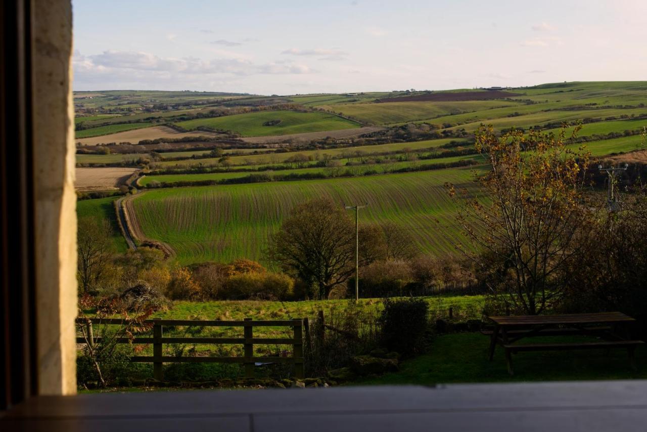 Rosecombe, Borrowby Farm Cottages Staithes Dış mekan fotoğraf